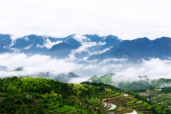 管理咨詢?nèi)绾沃刂萜髽I(yè)戰(zhàn)略規(guī)劃落地？