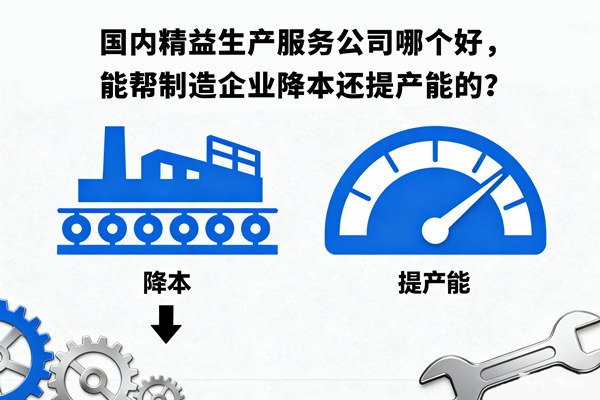 國內(nèi)精益生產(chǎn)服務(wù)公司哪個好，能幫制造企業(yè)降本還提產(chǎn)能的？